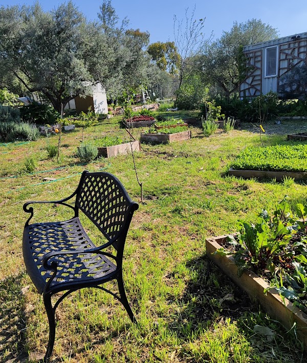 To Perivoli sti Vari Farm-to-fork Restaurant 3