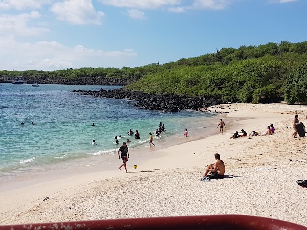 Playa Mann 1