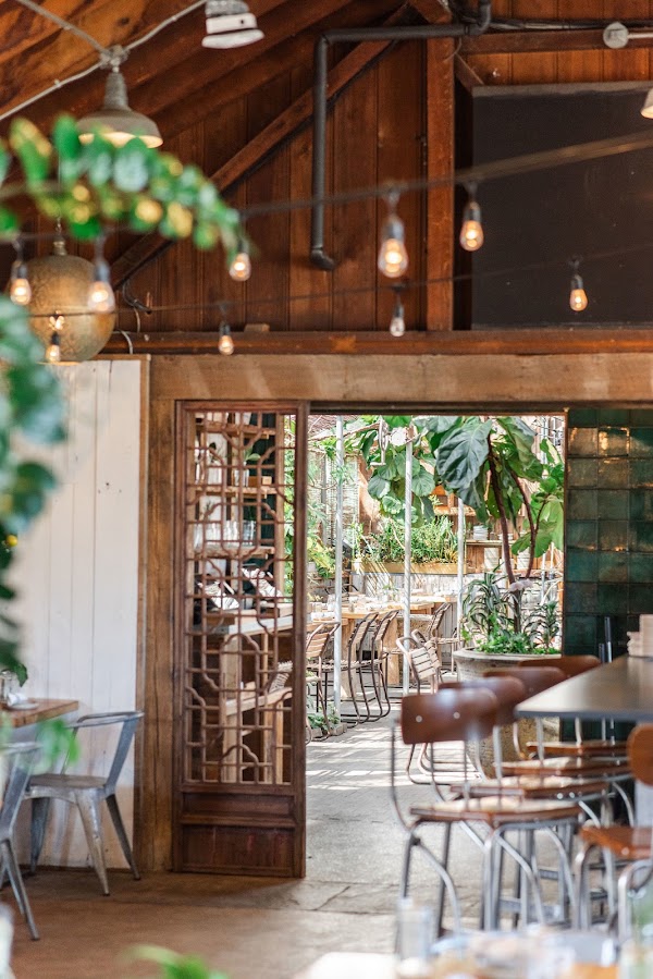Terrain Cafe 1