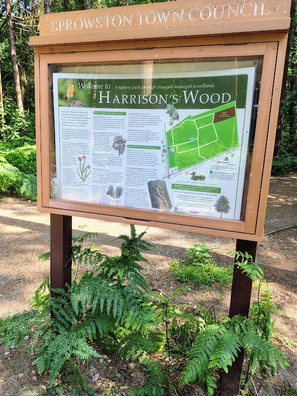 Harrison’s Wood