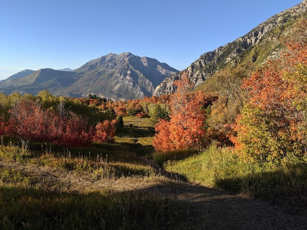 Buffalo Peak