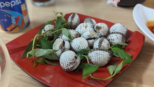 Ốc Đào 4