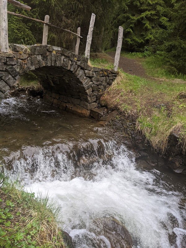 Kjarnaskógur 2