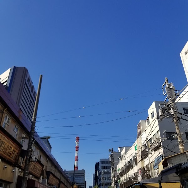 Tsukiji Outer Market