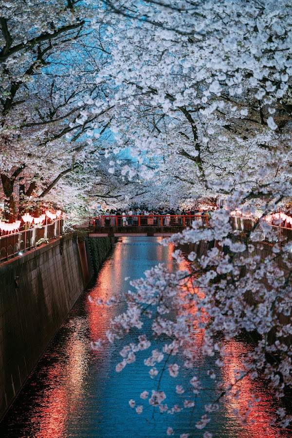 Meguro River