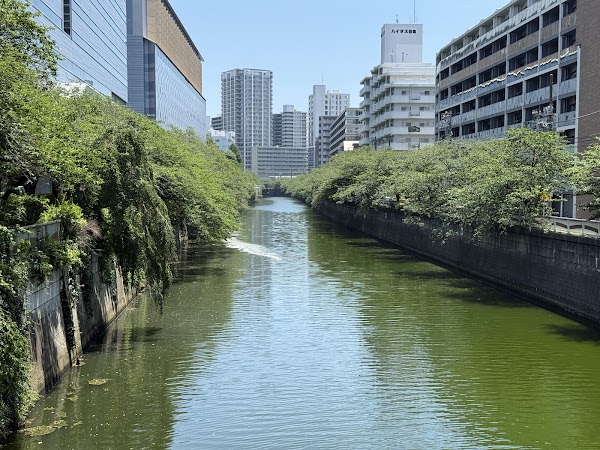 Meguro River 5