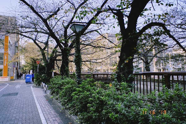 Meguro River 2