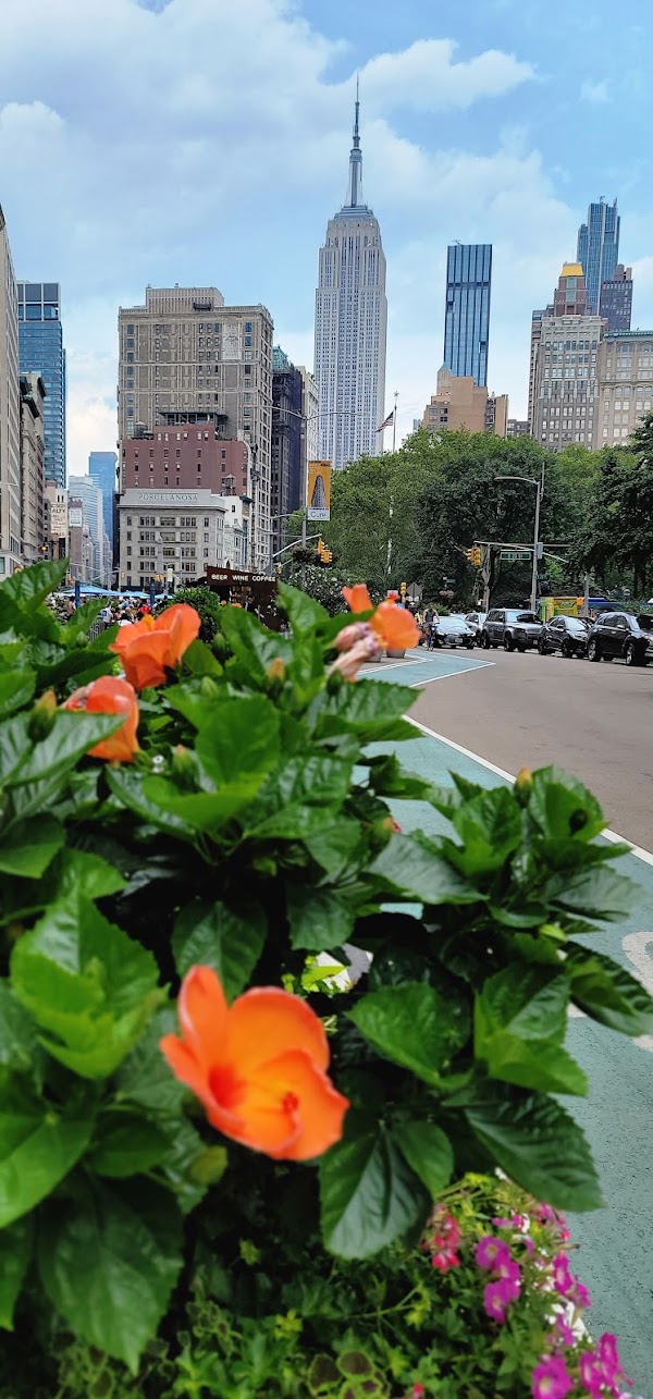 Flatiron District 3