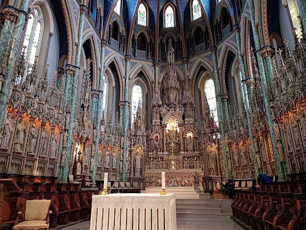 Notre Dame Cathedral Basilica 5