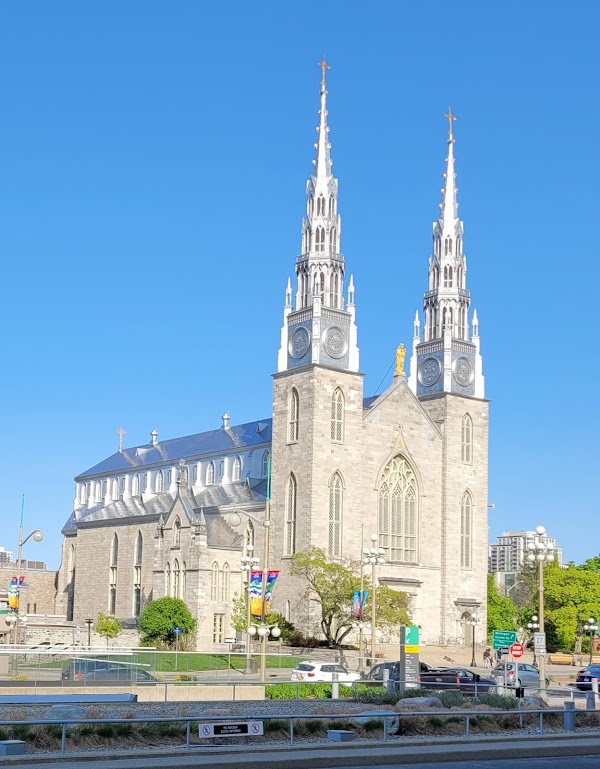 Notre Dame Cathedral Basilica 4