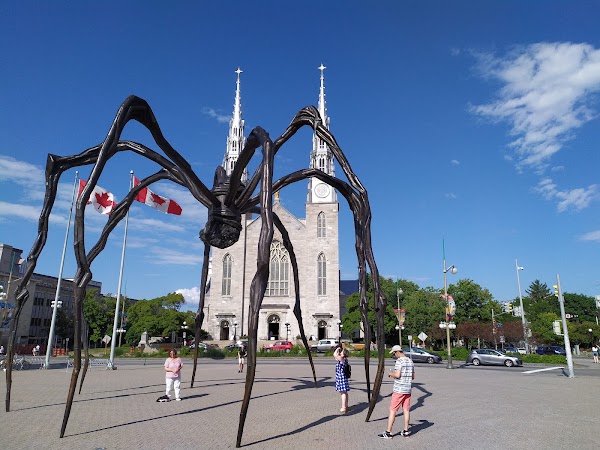 Notre Dame Cathedral Basilica 2