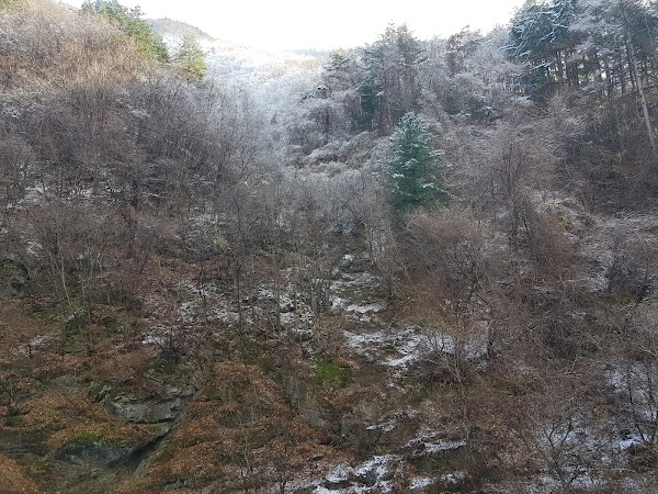 삼척 대이 동굴 관광센터 3