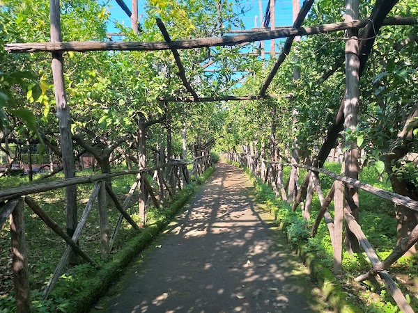 Agruminato Garden