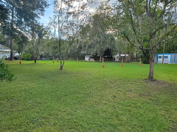 Micanopy Fall Festival Parking