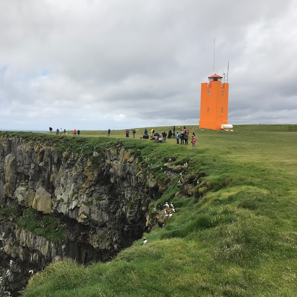 Ingólfshöfði Puffin Tour