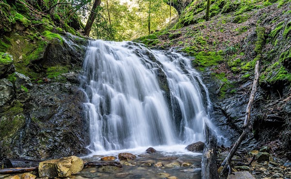 Uvas Canyon County Park 1