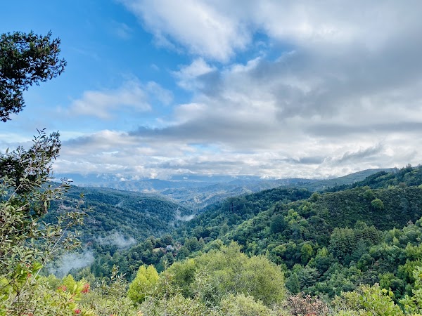 Uvas Canyon County Park 4