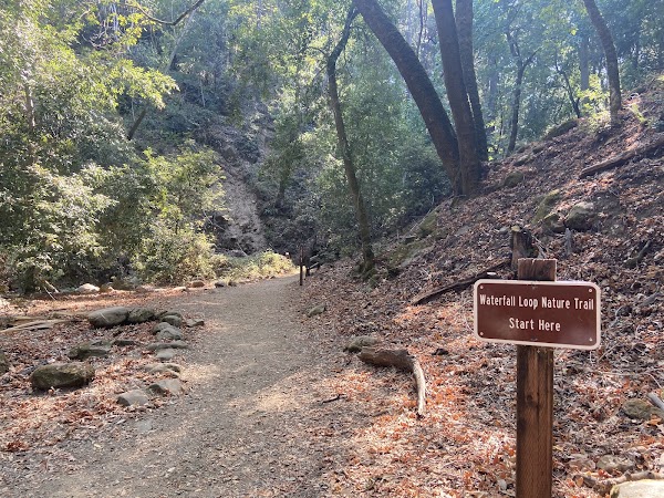 Uvas Canyon County Park 2