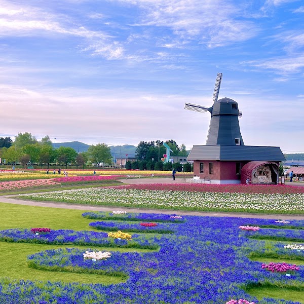 Kamiyubetsu Tulip Park 3