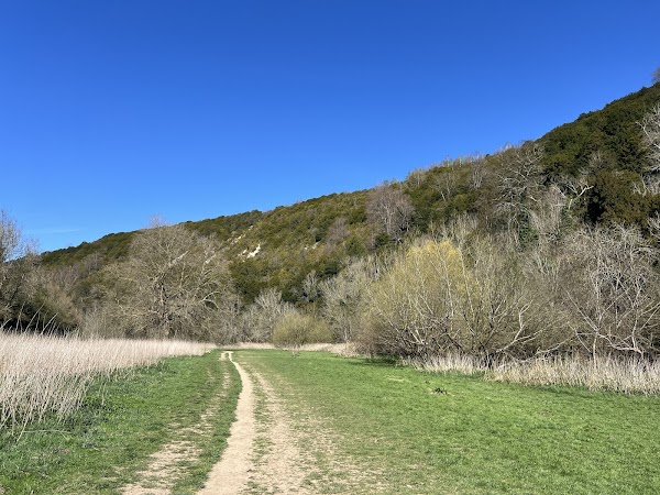 Box Hill 2