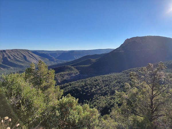 Bob Bear Trailhead 5