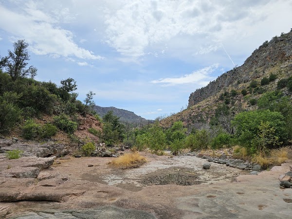 Bob Bear Trailhead 2