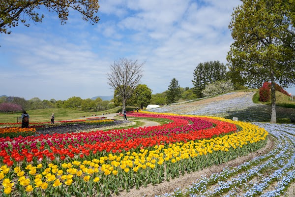 Sanuki Manno Park 5