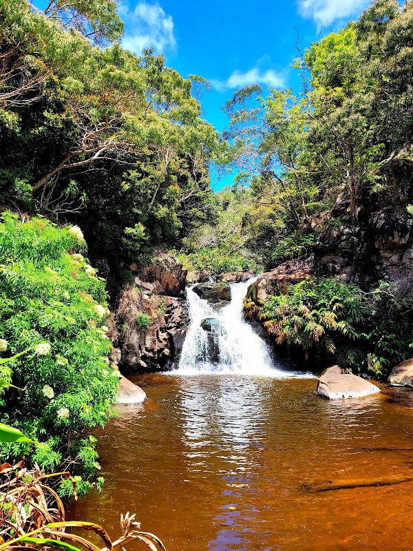 Kokeʻe State Park 5