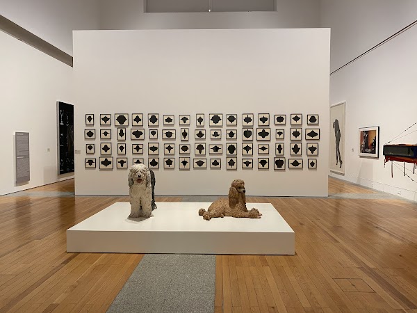 Museu Coleção Berardo 4