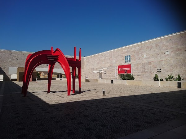 Museu Coleção Berardo 3