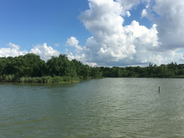 Wetland of Overseas Chinese Town （East Gate）