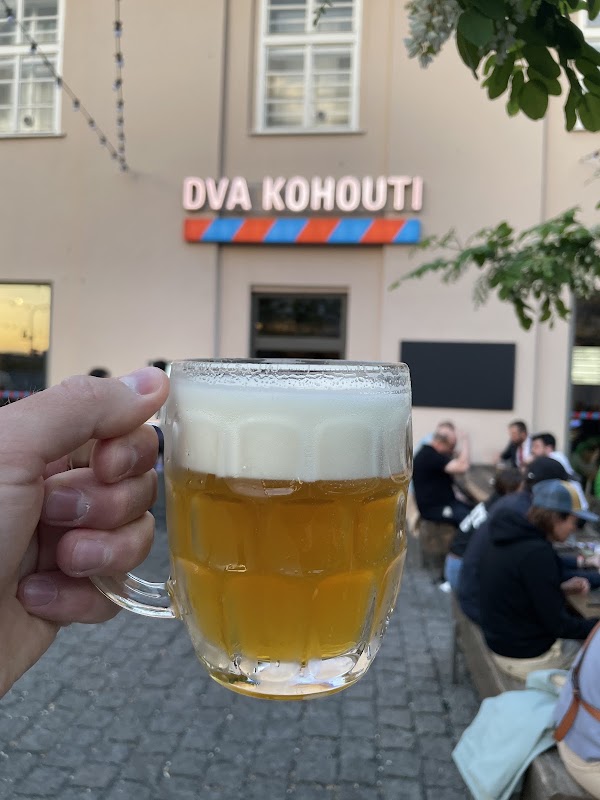 Dva kohouti 5