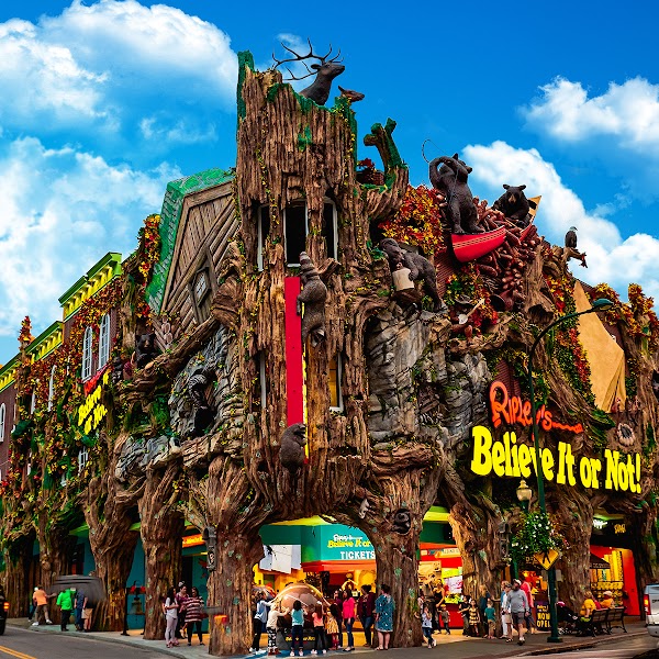 Ripley's Believe It or Not! 1