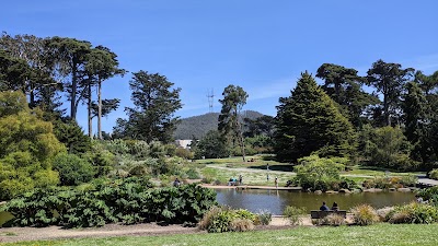 San Francisco Botanical Garden 2