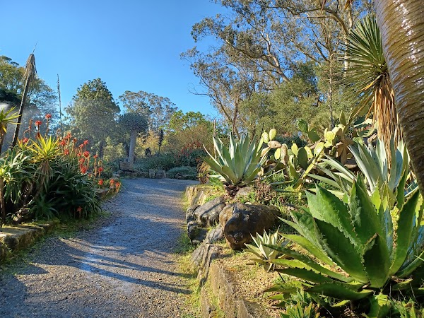 San Francisco Botanical Garden 4