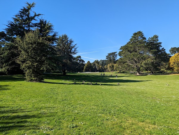 San Francisco Botanical Garden 3