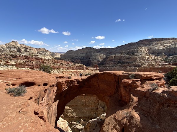 Cassidy Arch 1
