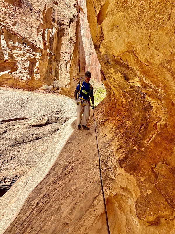 Cassidy Arch 5