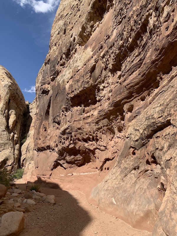 Cassidy Arch 3
