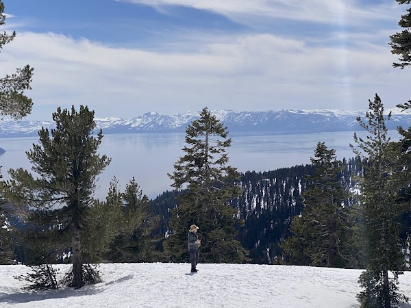 Chickadee Ridge