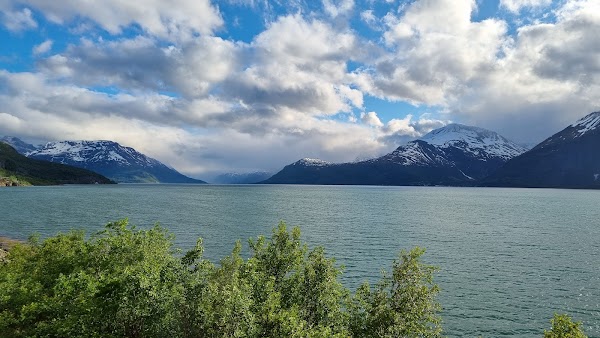 Lyngen