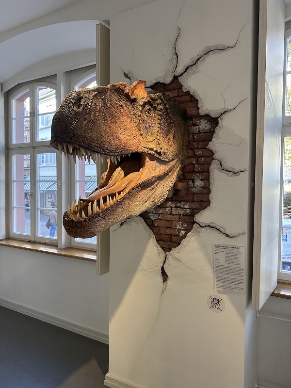 Museum Natur und Mensch 5