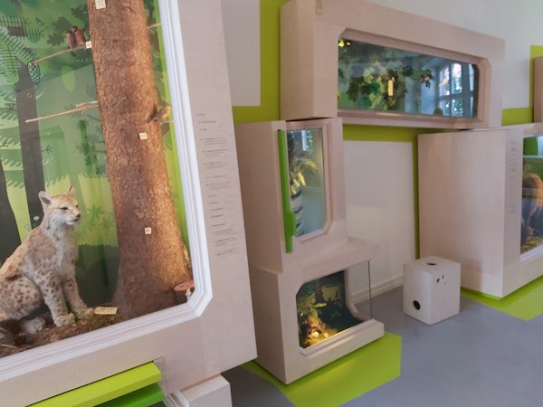 Museum Natur und Mensch 4