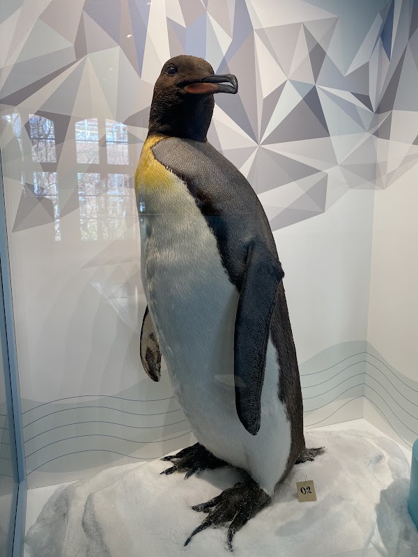 Museum Natur und Mensch 2