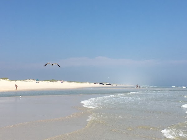 Island Beach State Park 4