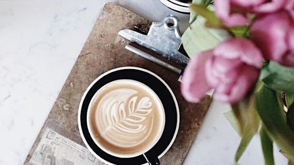 Rooster Coffee House 3