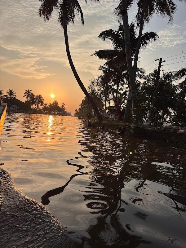 Alleppey Backwaters 3