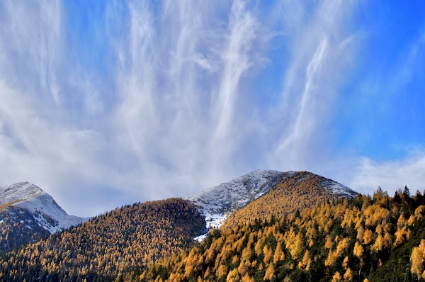Yala Snow Moutain 2