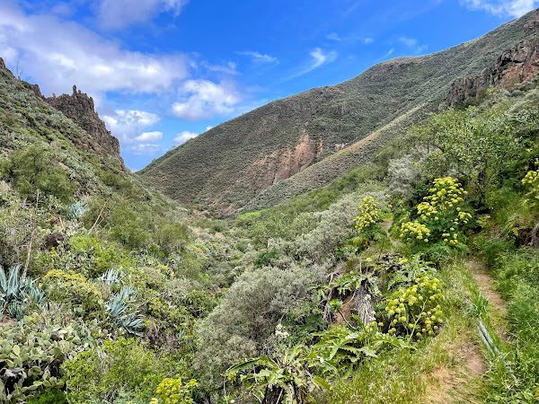 Roque de la Vela