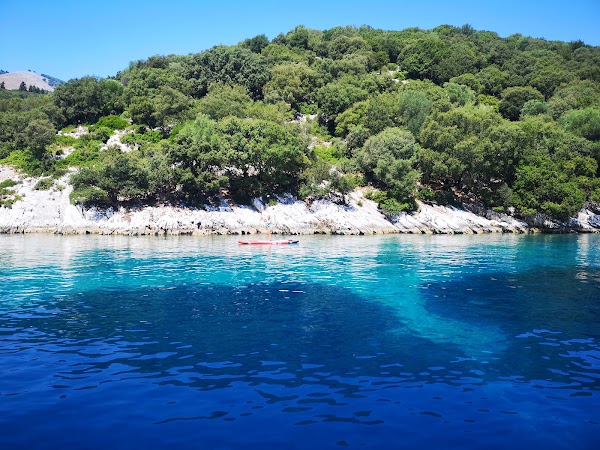 Piglet Bear Bay